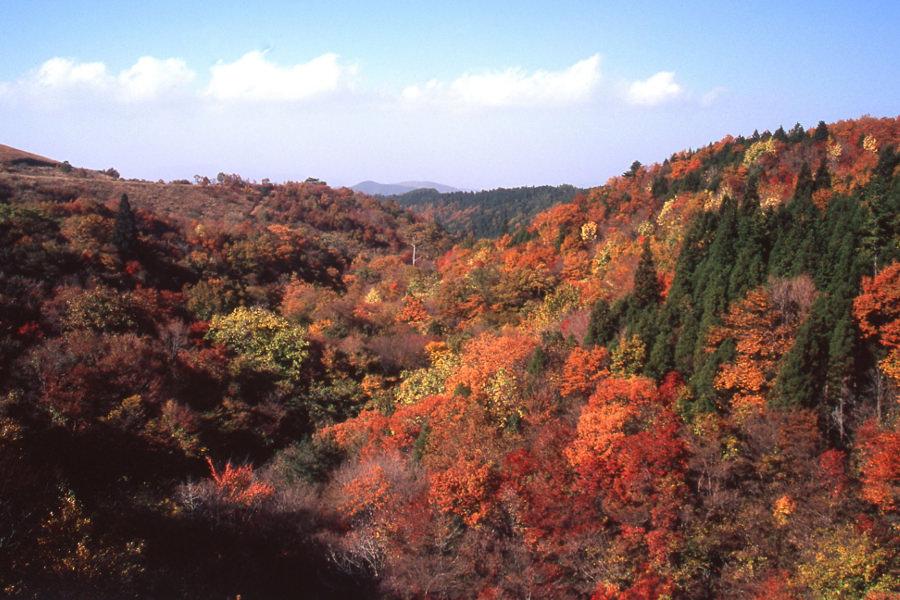 360度楽しめる大パノラマからの景色