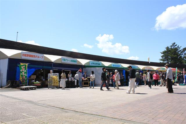 マオイの丘公園2