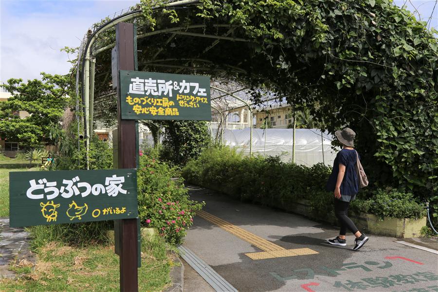 「あいあい手作りファーム」緑のアーチ