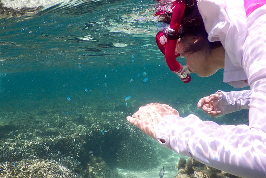 宮古の海の世界