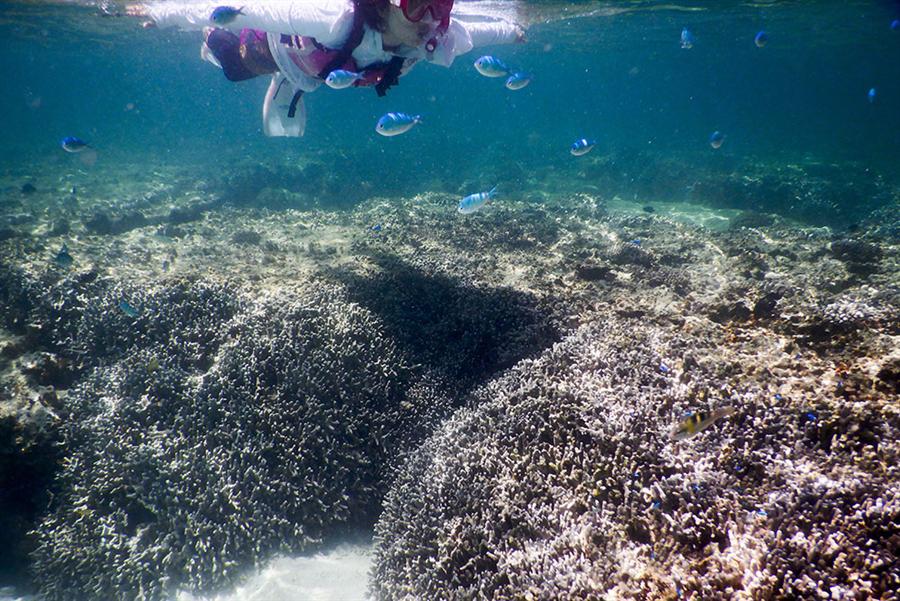 美しい宮古の海