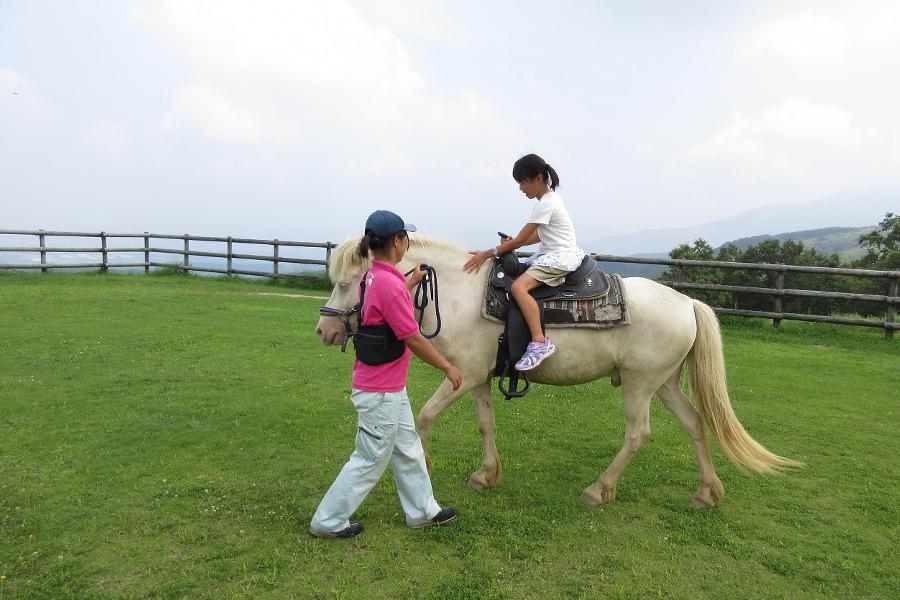 見晴らし良い草原で乗馬体験。ポニーはおとなしく優しい目をしています 見晴らし良い草原で乗馬体験。ポニーはおとなしく優しい目をしています