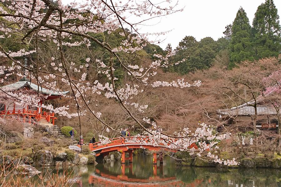 京都的世外桃源世界遺產醍醐寺交通攻略 Tabirai Japan