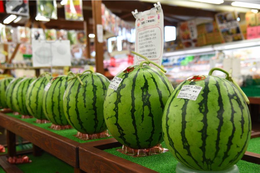スイカなどの果物は試食できる場合もあります