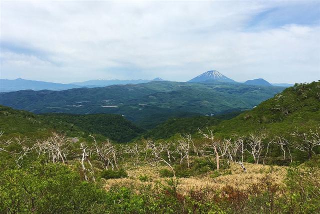 オロフレ峠4