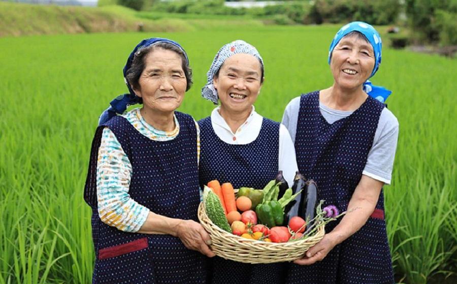 ▲阿蘇の小国町で獲れた新鮮な野菜を使用した朝ごはんを味わえます