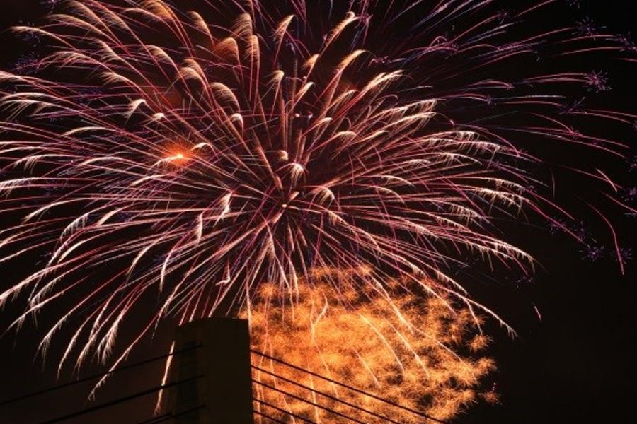 ▲コスモス畑の上空に咲く打ち上げ花火 ▲コスモス畑の上空に咲く打ち上げ花火
