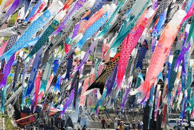 杖立温泉鯉のぼり祭り