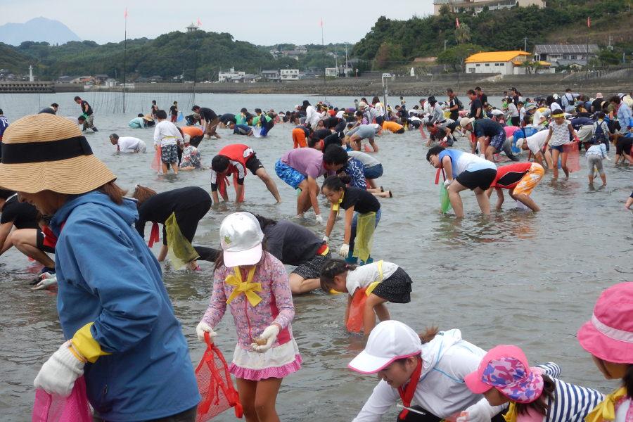 海の底に潜っている車えびを掘って探します