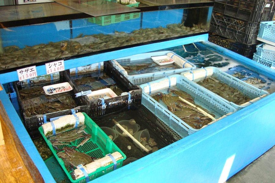 旬の魚介類が豊富に並びます