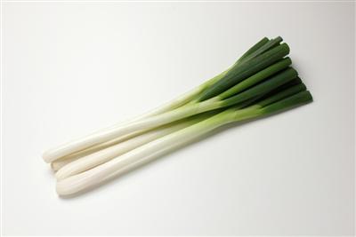 豊後高田産白ねぎ