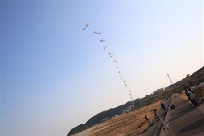 新春たこあげ大会 inお倉ヶ浜