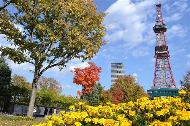 テレビ塔