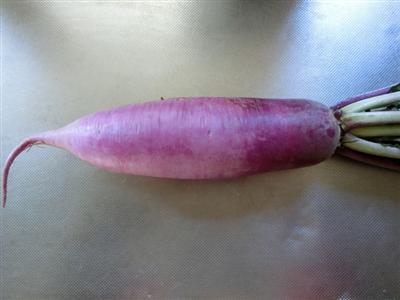 女山大根
