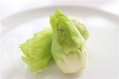 蕾菜