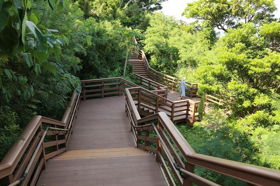 遊歩道が整備された浦添城跡内