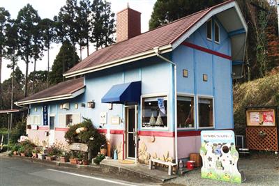 青い壁に、赤いラインが引かれているのが特徴の外観