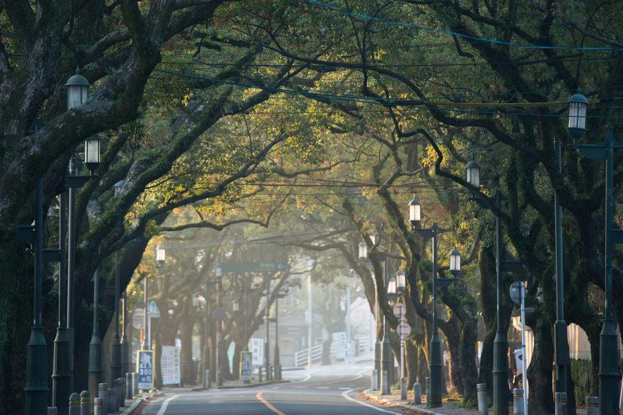 香椎宮から西に伸びる香椎参道