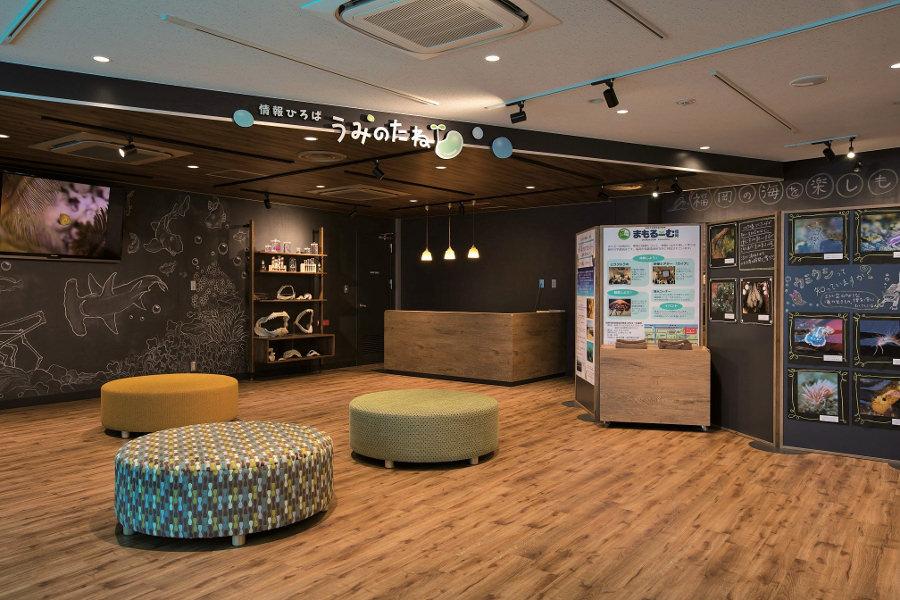 館内展示や自然環境のことを知る、学びの空間「うみのたね」