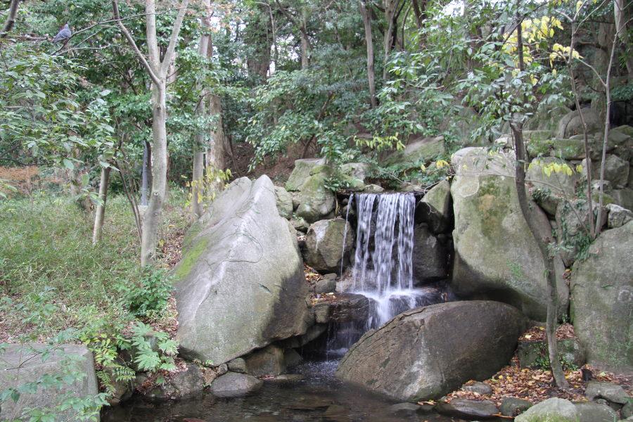 泉から流れ落ちる滝は庭園の顔