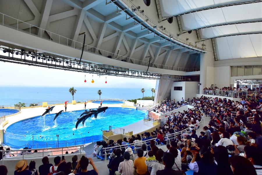 コンセプトは、「いつも新しい私になれる水族館」