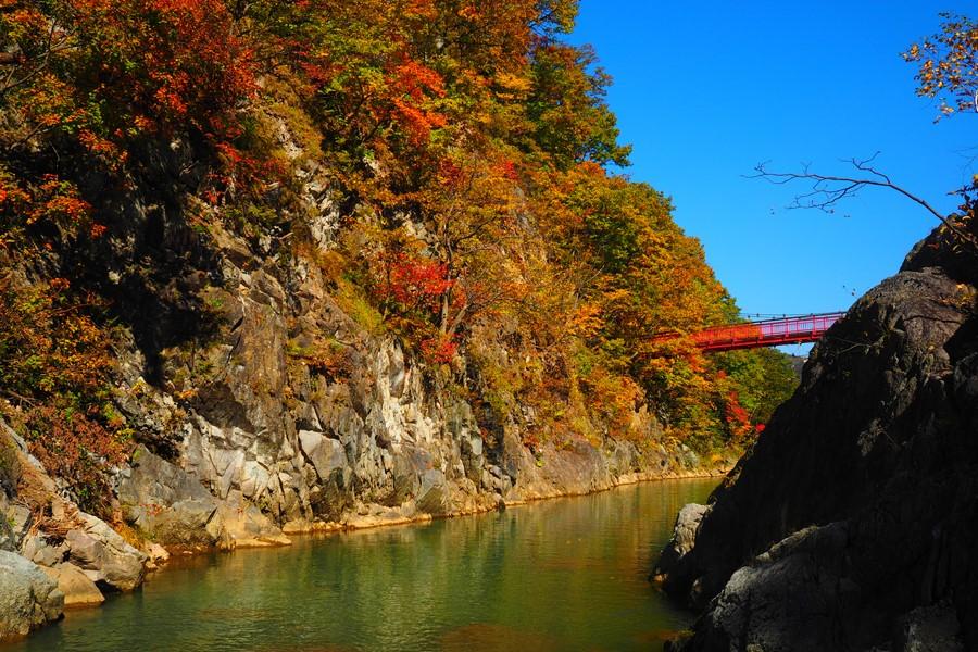 札幌の人気紅葉スポットを知っていますか？