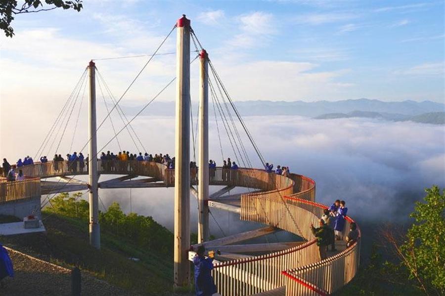 大自然が生んだ奇跡の風景。「大雲海」を満喫