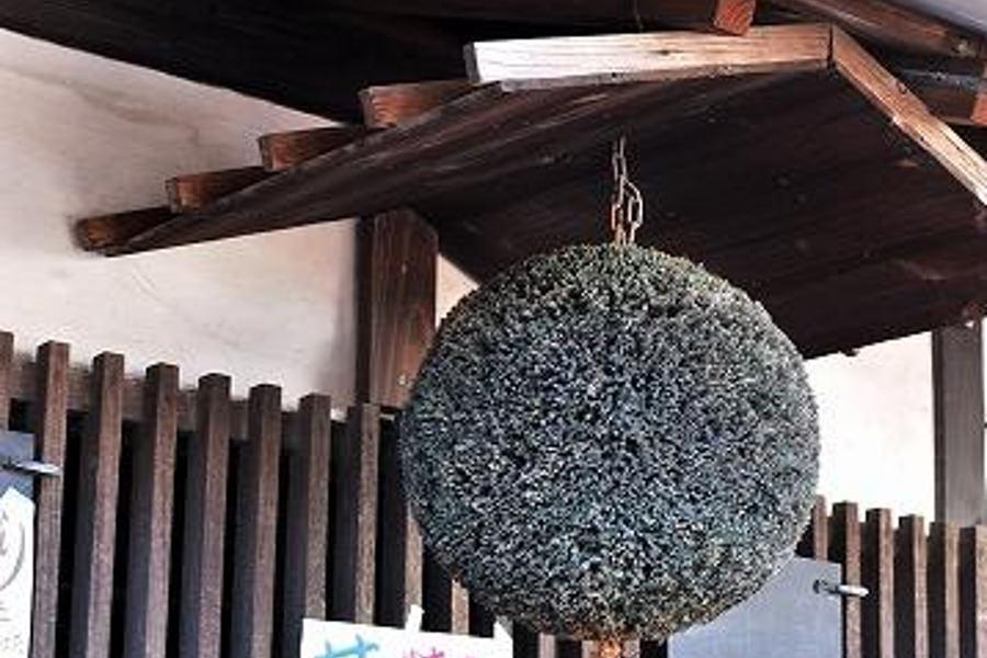 新酒を知らせる軒先につるされる杉玉