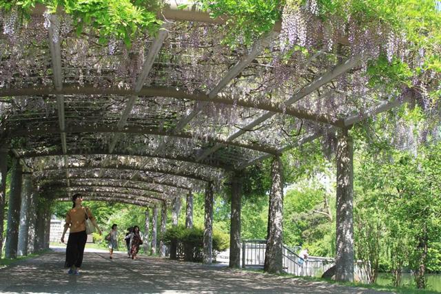 中島公園 緑あふれる札幌のオアシスを散策 中島公園 緑あふれる札幌のオアシスを散策