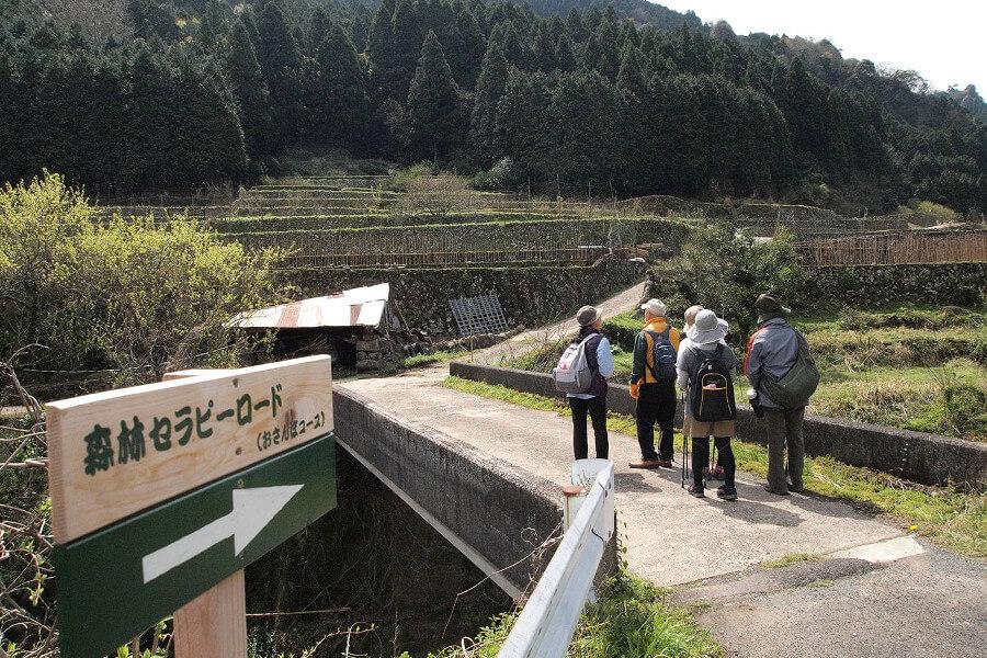 豊前市の森林セラピーコースは4コースあります