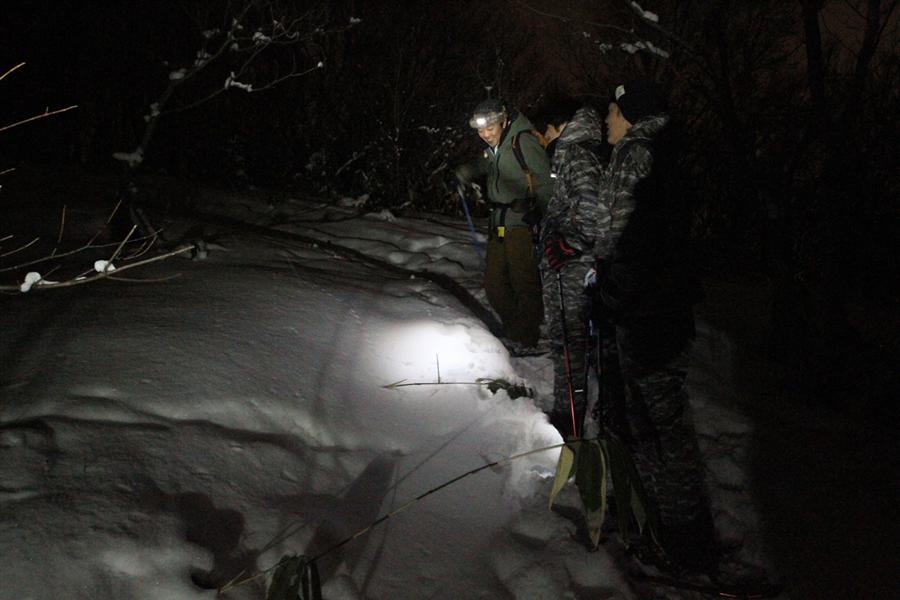 雪と暗闇しかないのか……そんなことはありません。そこには、野生の息遣いが。