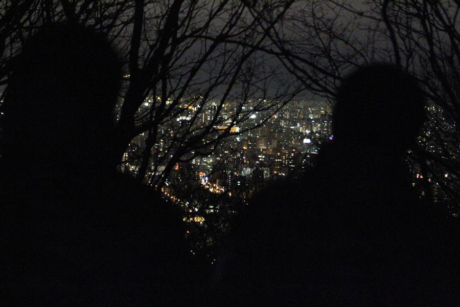 ふと、背後を振り返る。木々の間からこぼれるように覗く札幌夜景が素敵です。