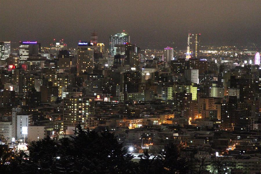 坂を上り切った先に見えたのは、この景色。冒険の先に待っていたご褒美です。