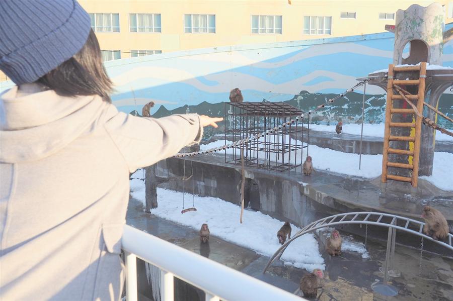 函館市熱帯植物園