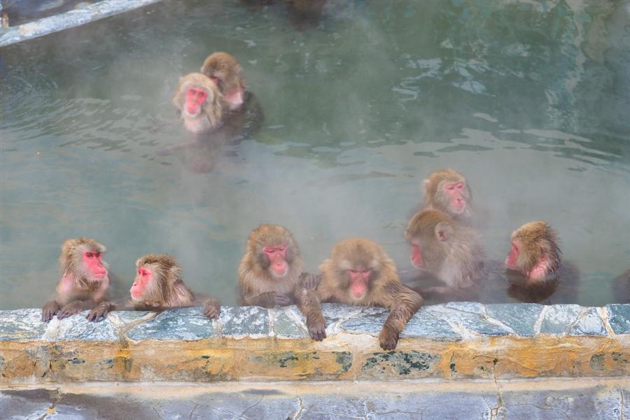 函館市熱帯植物園