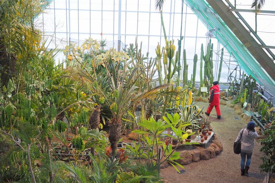 函館市熱帯植物園