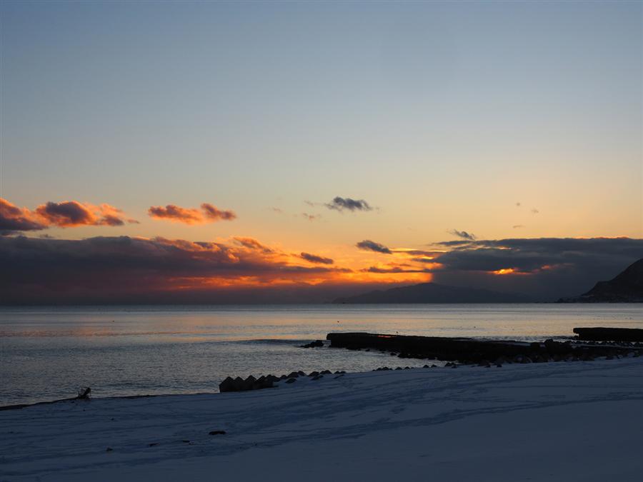 函館市熱帯植物園