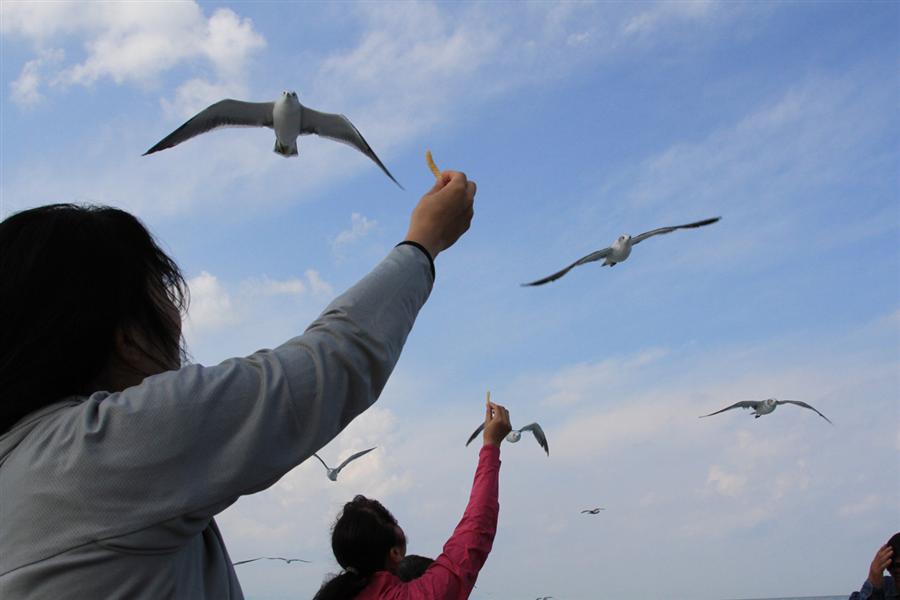 ブルーケイブクルーズ