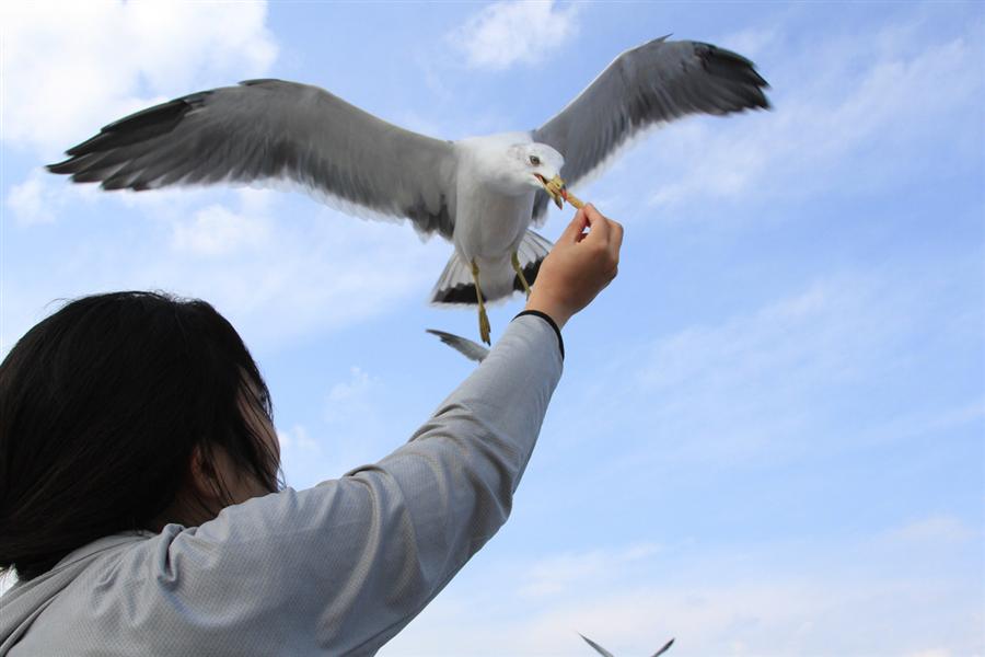 ブルーケイブクルーズ