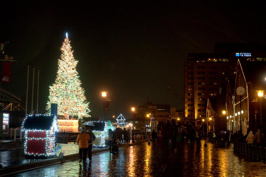 クリファンイルミネーション