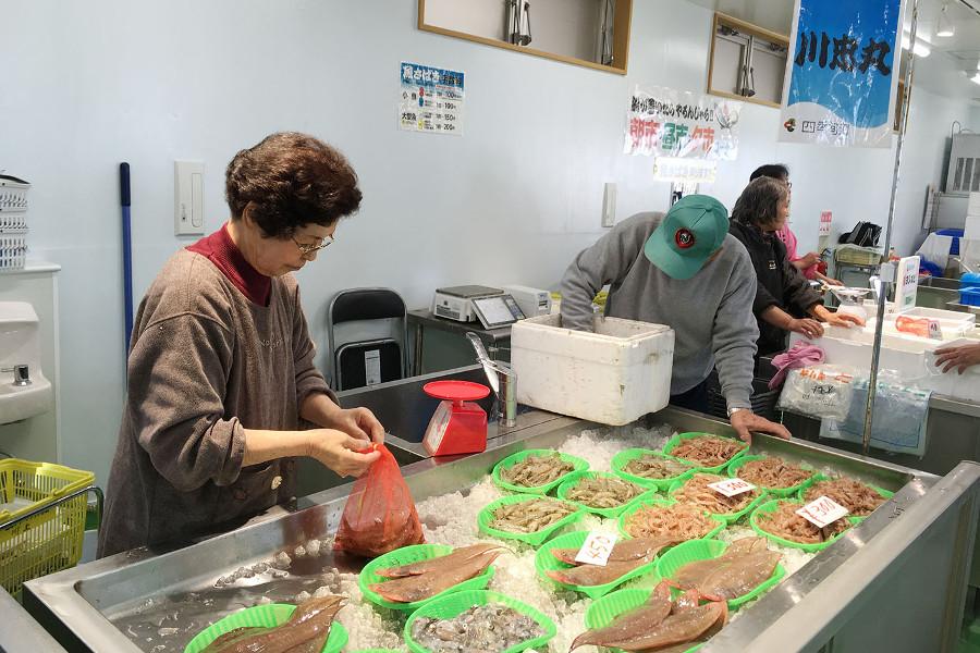 豊前海はイカやエビ、カレイ、カキ、ハモなどが獲れる豊潤の海