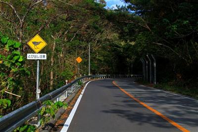 沖縄ドライブの注意点