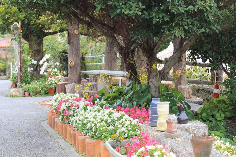 手入れの行き届いた路地に人々の地元愛と温かなおもてなしの心を感じます