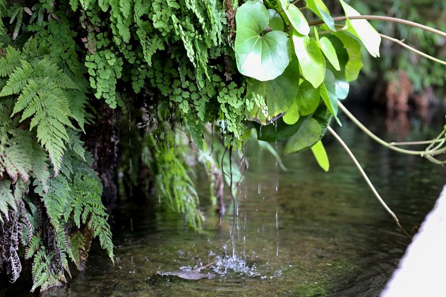 変わることのない豊かな自然