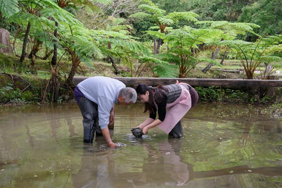 いよいよ、亜熱帯植物のヒカゲヘゴに囲まれた泥田へ。泥の中にトートバッグをつけ込み泥染めします。どんな仕上がりになるか楽しみです
