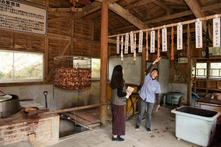 大島紬の染め工程を見学。染め体験では、泥染め（茶色）・藍染め（藍色）・ウコン染め（黄色）の中から選ぶことができます