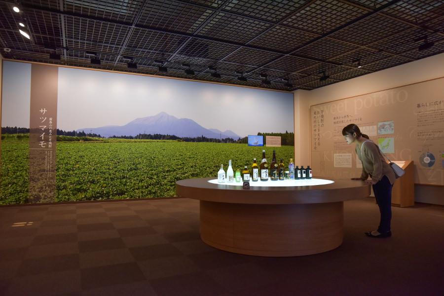 「霧の蔵ミュージアム」では、サツマイモのルーツや直径約3メートル
の地形ジオラマ、原寸大のサツマイモの模型など、芋焼酎に関する様々な情報を学ぶことができます