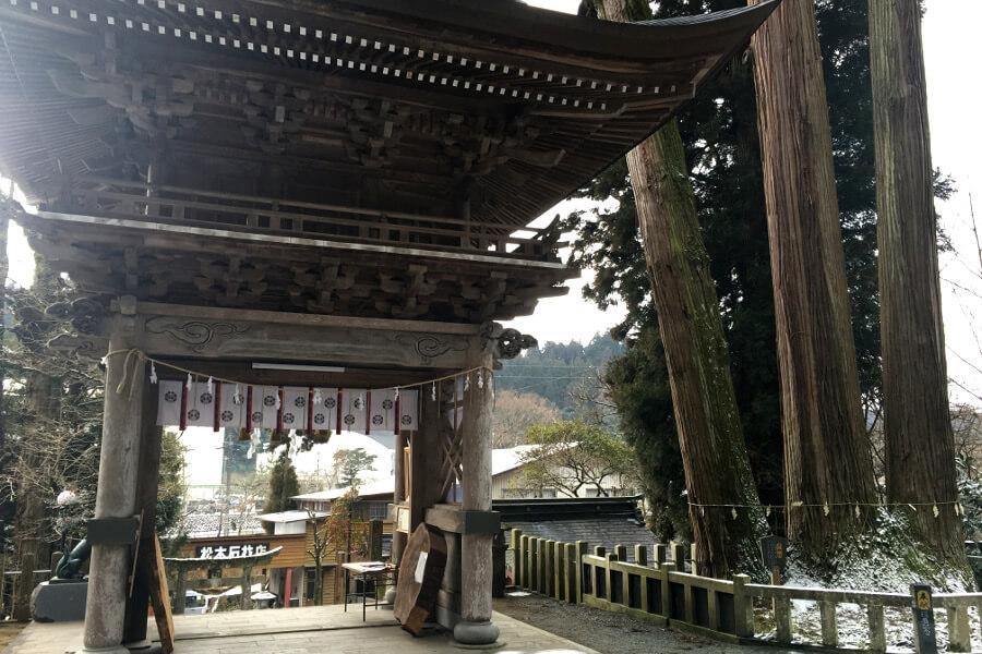 三本の木それぞれに神社の主祭神が祭られている三神杉。よく見ると根元で一つにつながる兄弟樹