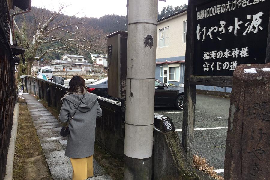 優心からすぐ近く。案内板を目印にして脇道へ入ると、大きな木が見えてきます