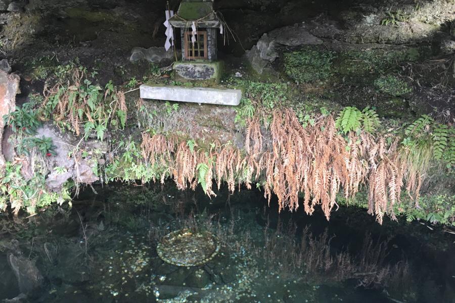 「鏡ヶ池」にはその昔、醍醐天皇の孫姫、小松女院が一途な思いを込めて大事な鏡を投げ入れたという伝説が残っています